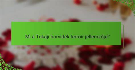 tokaji pincehálózat és mikroklíma ábra