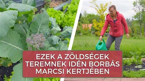 Borbás Marcsi a kertjében