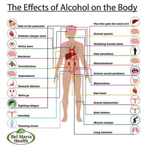 Chart of alcohol effects on organs and systems