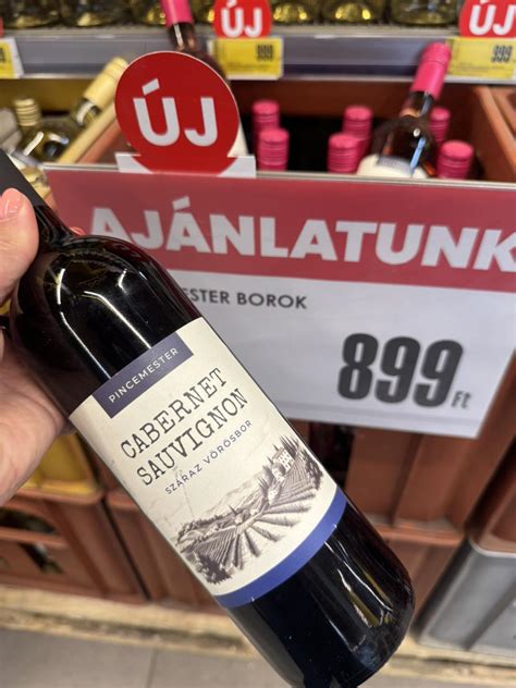 Pincemester alapborokat kóstol