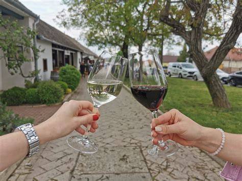 Villány-Siklósi borút és rendezvénykínálat