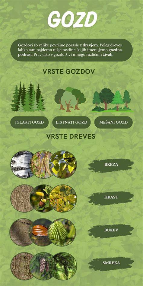 Infografika a sörös-fűszeres rétegzetről
