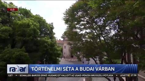 budai vörösbor a történelmi kertben