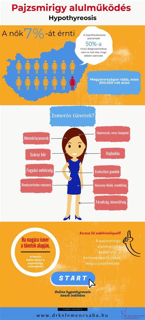 infografika a pajzsmirigy működéséről