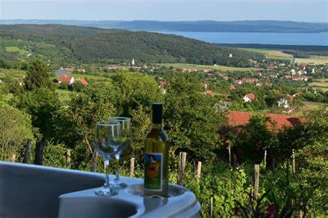 Vinous mátrai borbirtok panoráma