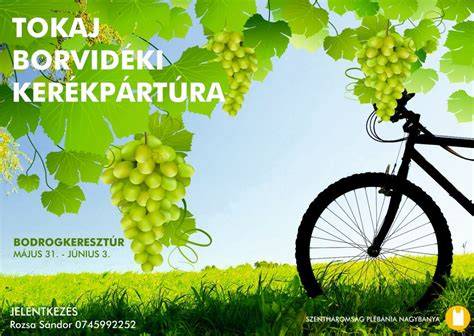 Tokaj borvidéki tájkép historikus pincekörnyezet