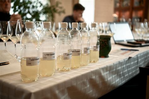 Hárslevelű-furmint klasszikus házasítás