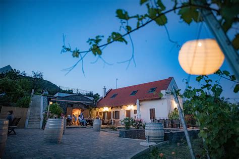 Bencze Birtok amfórái a pincében