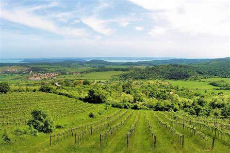 Balaton-felvidéki borvidék kilátás