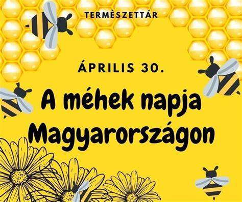 méhek waggle tanulmány grafika