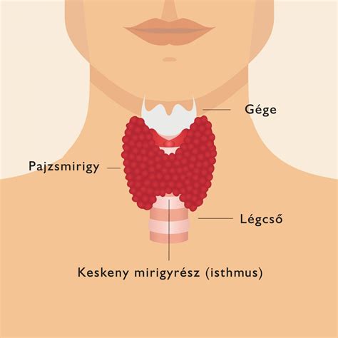 Diagram az MDMA mérgezés tüneteiről