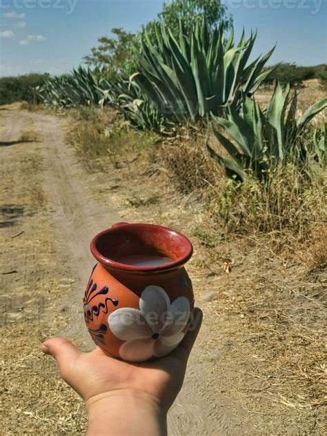 Pulque készítés