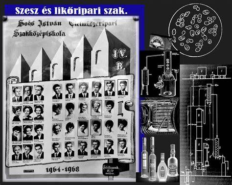 infographic a szesz adóztatásáról és ellenőrzéséről