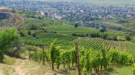 Kiskunsági borvidék térképe