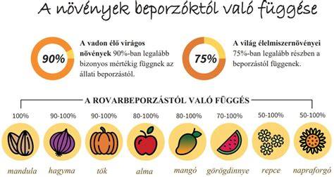 Infografika a magyar kézműves sörfőzdékről