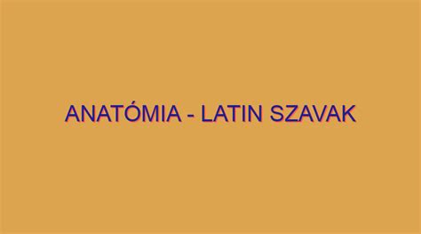 Latin szavak