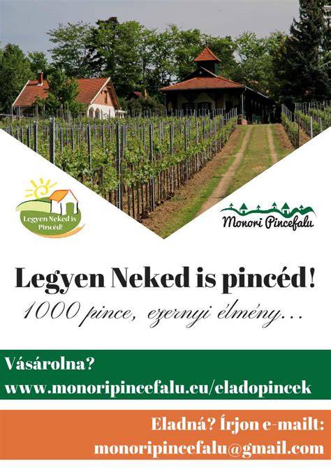Monori pincefalu látképe és pincék