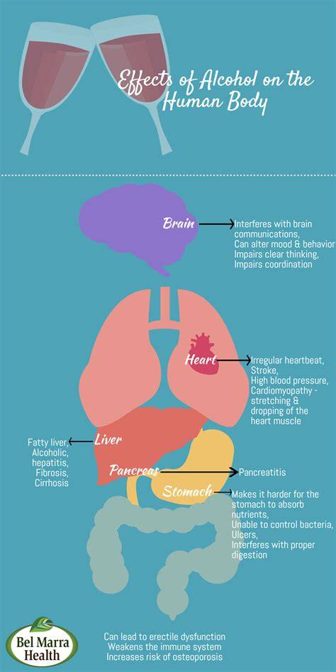 images infographic alcohol metabolism and liver health