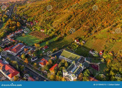 Tokaj Disznókő terraced vineyards view