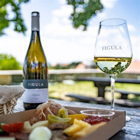 figula borvidék terroir ásványosság
