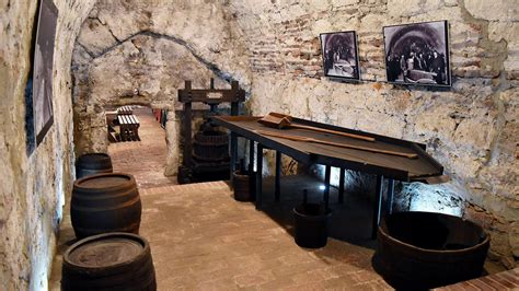 Tokaji pince belső tere pincepenésszel