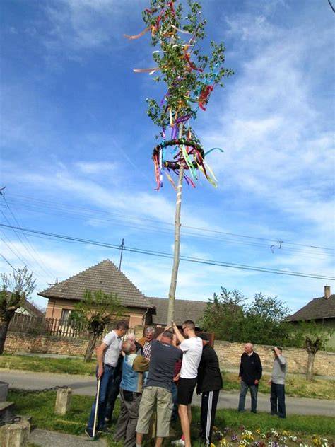 májusfa állítása hagyományos színekben
