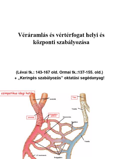 Alkohol árusítási távolság szabályozása