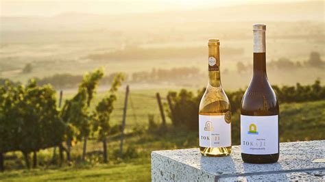 Tokaji bor történelmi nudella