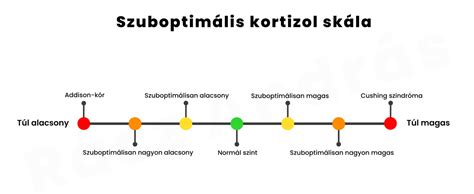 vákuum szint felosztás diagram