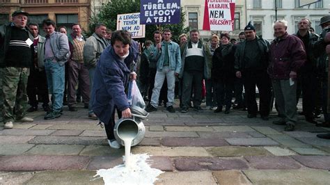 Magyar tejtermelők tejjel