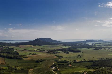 Badacsonyi panoráma szőlőültetvényekkel