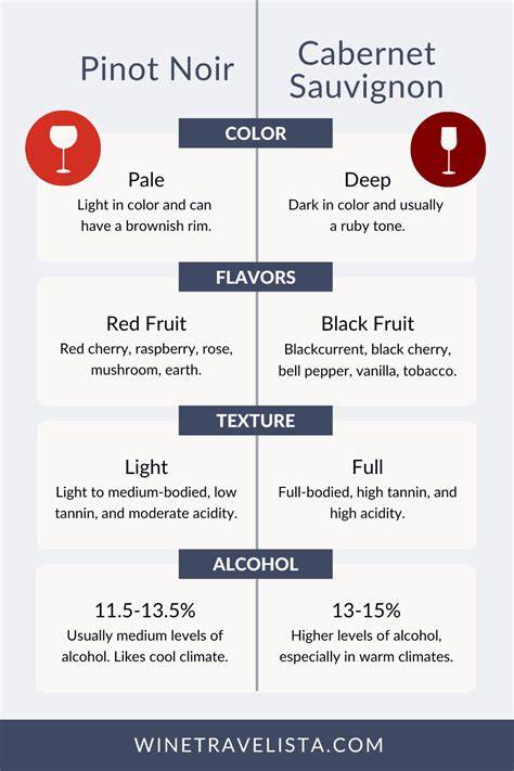boros kóstolás infografika (Syrah vs Cabernet)