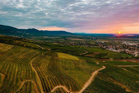Mátrai borvidék panoráma és pincesor