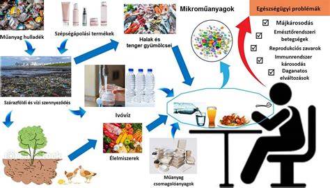 mikroműanyagok a spermaszemben infografika