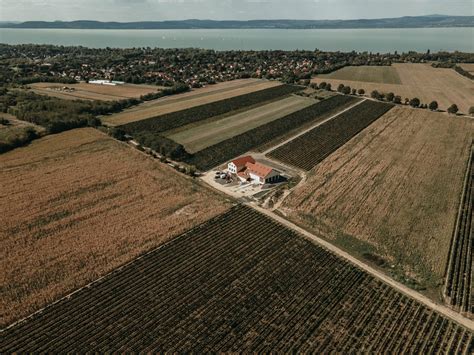 Bazaltbor Borászat épülete