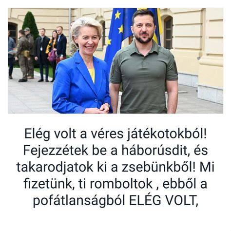 fröccs szódavíz történet infographic
