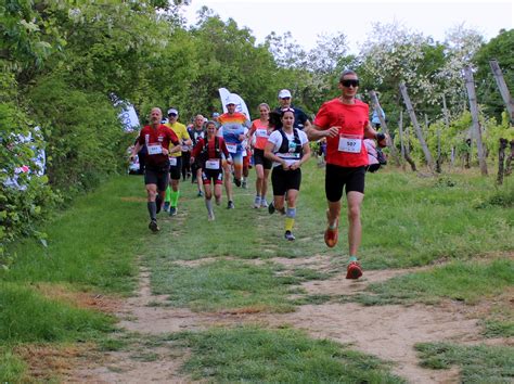 Futók a mádi szőlők között