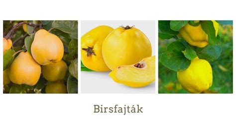 birs aprítása