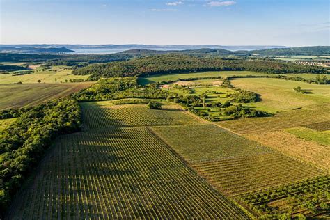 Balatonfüred-Csopaki borvidék térképe