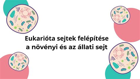 Emulzió stabilizálásának illusztrációja