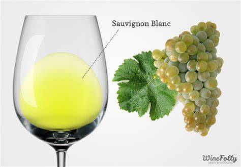 Sauvignon Blanc kiemelkedő illat profilja