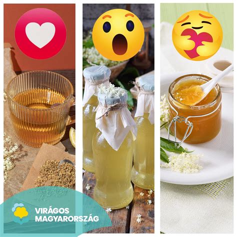 Különböző gyümölcsök, amelyekből cider készülhet