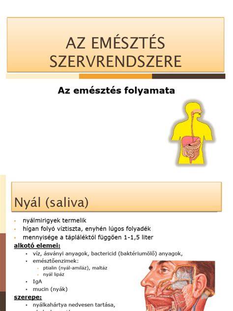 térképes infographic az emésztés folyamatáról alkohol mellett