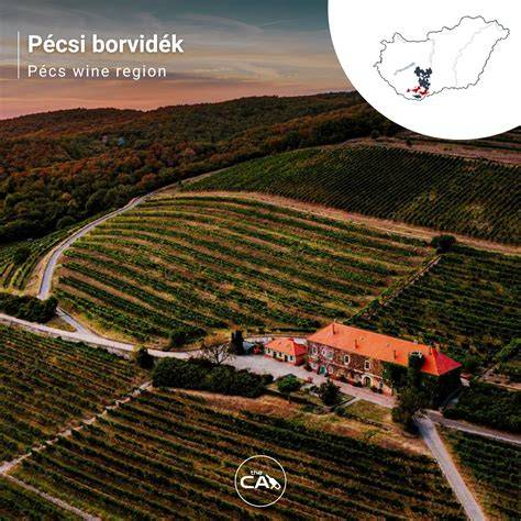 borászati ültetvények és pincészet térképe