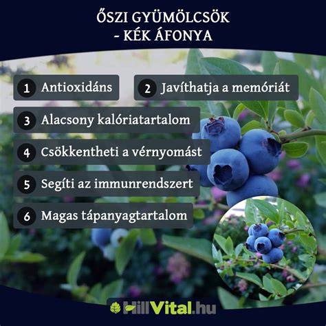 kék koktélkészítés infografika