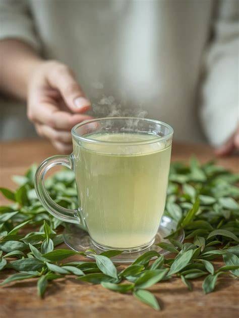 zöld tea vizuális anatómia és elkészítés