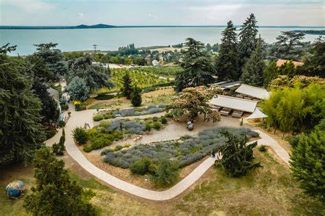 Folly Arborétum kilátótorony panoráma