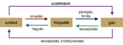 sör összetevők és kémiai folyamatok diagram