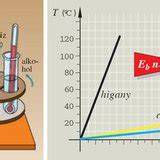 különböző sörtípusok erjesztési hőmérséklete diagram