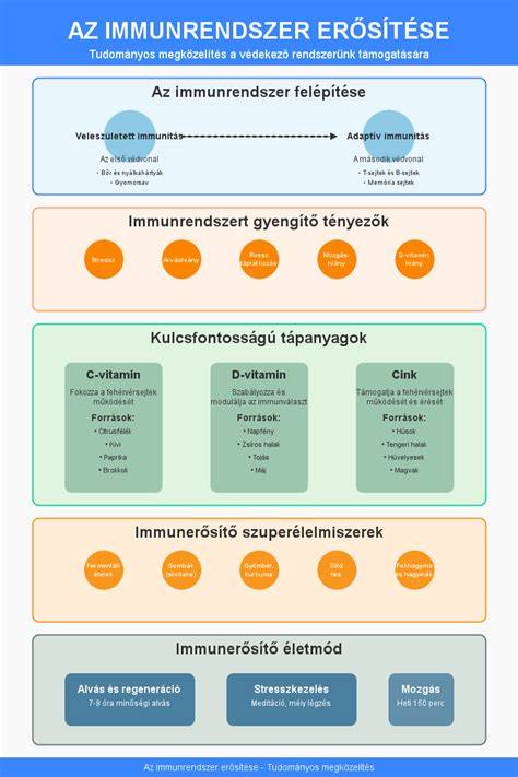 immunrendszer és alkoholfogyasztás infografika